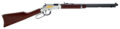 Henry Repeating Arms Golden Eagle Silver Lever-Action Rifle Rental | .22 S/L/LR