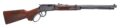 Henry Repeating Arms Western Frontier Lever-Action Rifle Rental | .22 S/L/LR