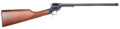 Heritage Mfg Rough Rider Rancher Single-Action Rifle Rental | .22 LR | 16.12in | Blued/Black
