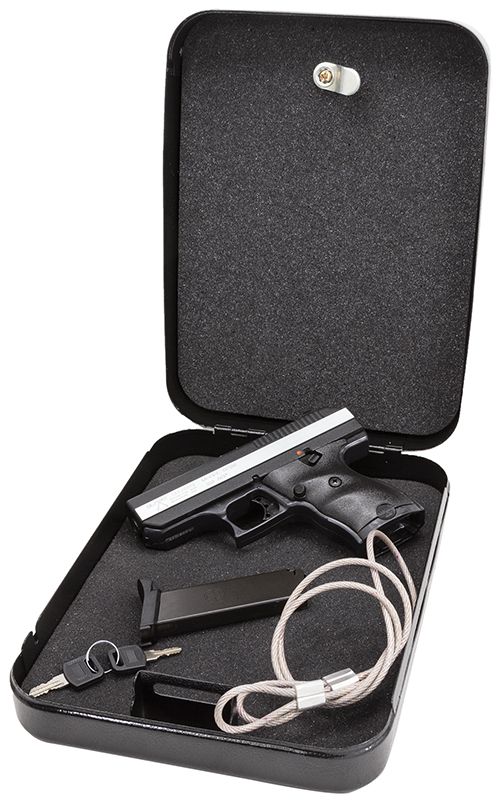 Hi-Point CF380 Home Security Package Pistol Rental | .380 ACP | 3.5in