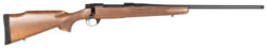 Howa M1500 Standard Hunter Bolt-Action Rifle Rental | .270 Winchester | 22in
