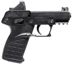 Kel-Tec P17 Pistol Rental | .22 LR | 3.8in