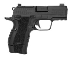 Kimber Mfg.,inc CDS9 Pistol Rental | 9mm