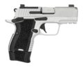 Kimber Mfg.,inc CDS9 Pistol Rental | 9mm | 3600007
