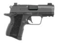Kimber Mfg.,inc CDS9 Pistol Rental | 9mm | 3600018