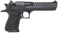 Magnum Research Desert Eagle Mark XIX Pistol Rental | .357 Magnum | 6in | Matte Black