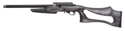 Magnum Research Magnum Lite SwitchBolt Semi-Auto Rifle Rental | .22 LR | 17in