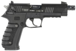 Mauser Rimfire M20 Pistol Rental | .22 LR | 4.75in