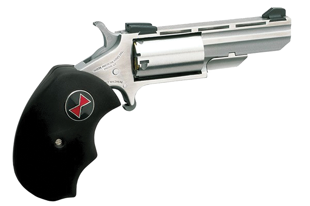 NAA Black Widow Black Widow Revolver Rental | .22 WMR | 2in
