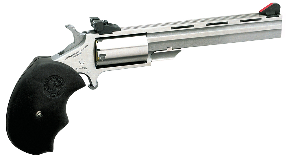 NAA Mini-Master *CA Compliant Revolver Rental | .22 WMR | 4in