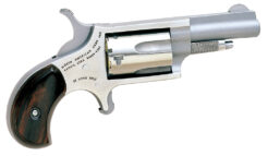 NAA Mini-Revolver *CA Compliant Revolver Rental | .22 LR | 1.63in