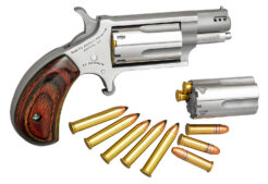 NAA Mini-Revolver Combo Revolver Rental | .22 LR | 1.63in