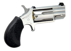NAA Pug Pug Revolver Rental | .22 WMR | 1in