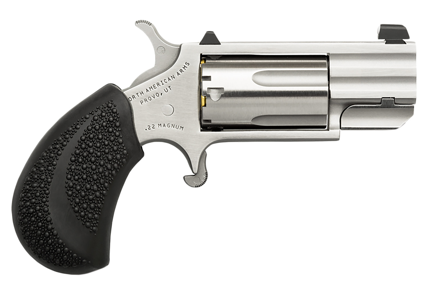 NAA Pug Pug Revolver Rental | .22 WMR | 1in | PUGD
