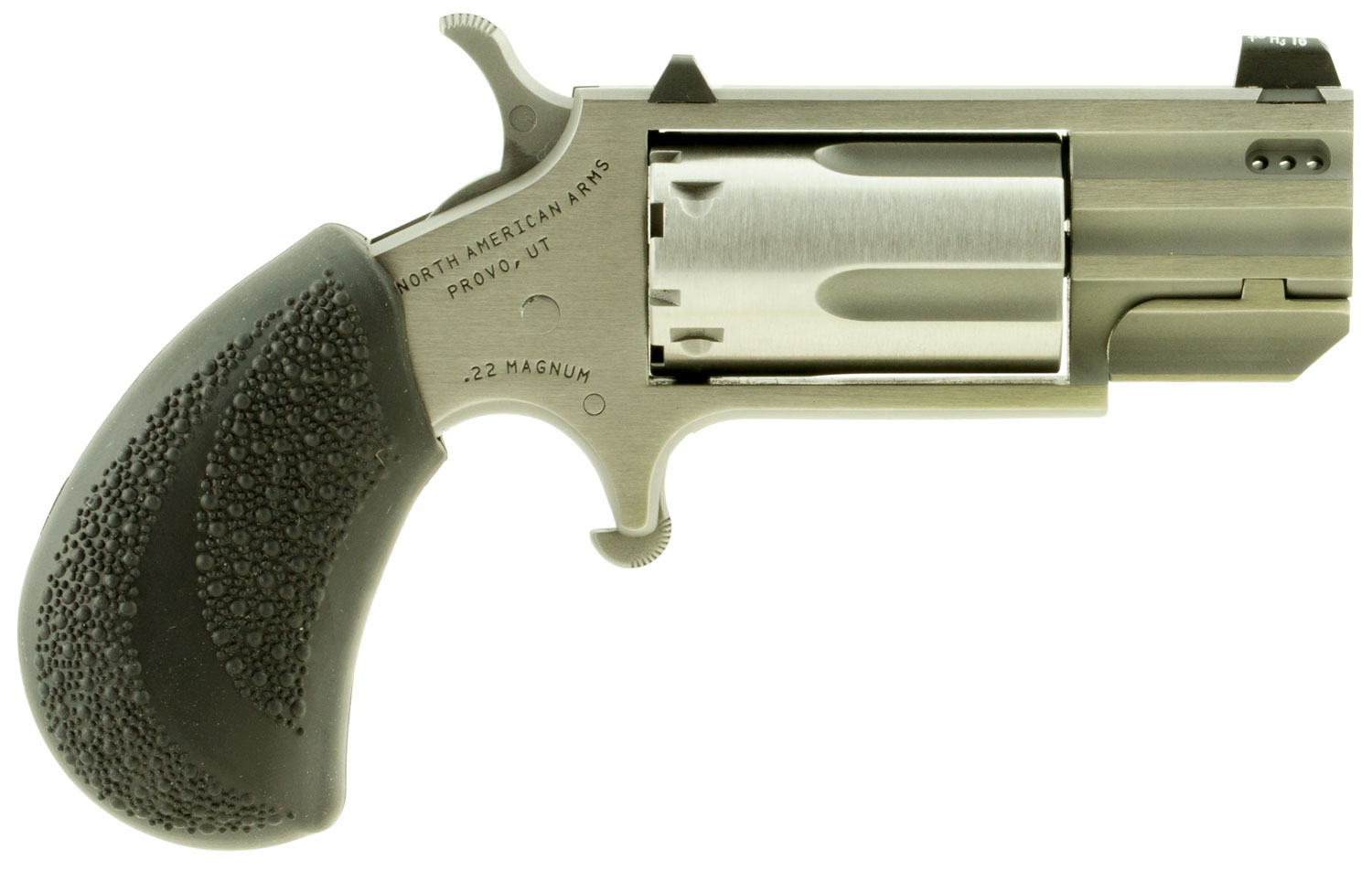 NAA Pug Pug White Dot Sight Ported Revolver Rental | .22 WMR | 1in