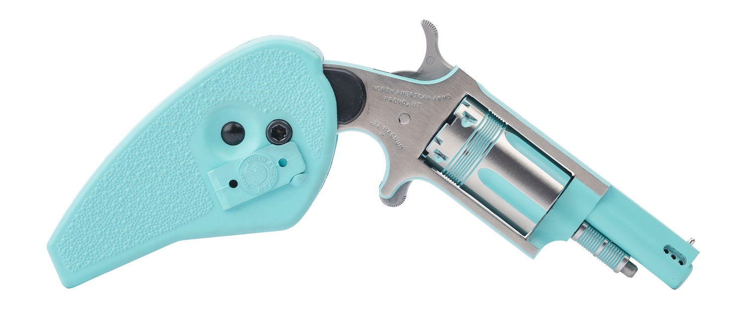 NAA Rose Revolver Rental | .22 LR | 1.13in