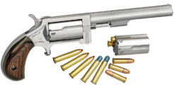 NAA Sidewinder *CA Compliant Revolver Rental | .22 LR | 4in