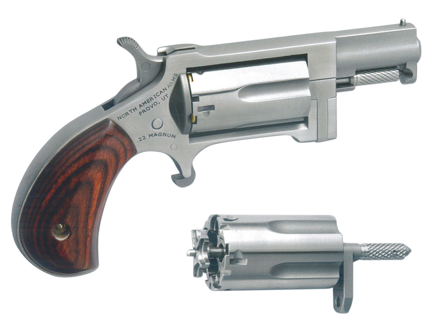 NAA Sidewinder Conversion Revolver Rental | .22 LR | 1.5in
