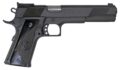 Oaks Wholesale Dist/iver Eagle XL Pistol Rental | 10mm Auto | 6in