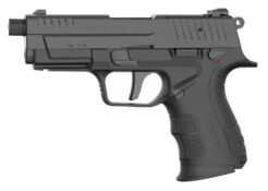 Retay USA RXP Pistol Rental | .22 LR | 4in