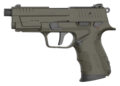Retay USA RXP Pistol Rental | .22 LR | 4in | OD Green Cerakote