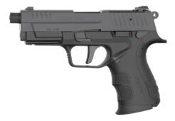 Retay USA RXP Pistol Rental | .22 LR | 4in | Black Cerakote