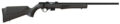 Rossi RB17 Bolt Action Bolt-Action Rifle Rental | .17 HMR | 21in