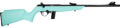 Rossi RB22 Compact Bolt-Action Rifle Rental | .22 LR | 16.5in | RB22L1611C