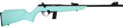Rossi RB22 Compact Bolt-Action Rifle Rental | .22 LR | 16.5in | RB22L1611C