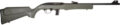 Rossi RS22 Semi-Auto Rifle Rental | .22 LR | 18in