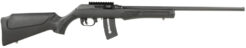 Rossi RS22 Semi-Auto Rifle Rental | .22 WMR | 21in