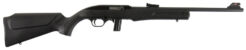 Rossi RS22 Semi-Auto Semi-Auto Rifle Rental | .22 LR | 18in
