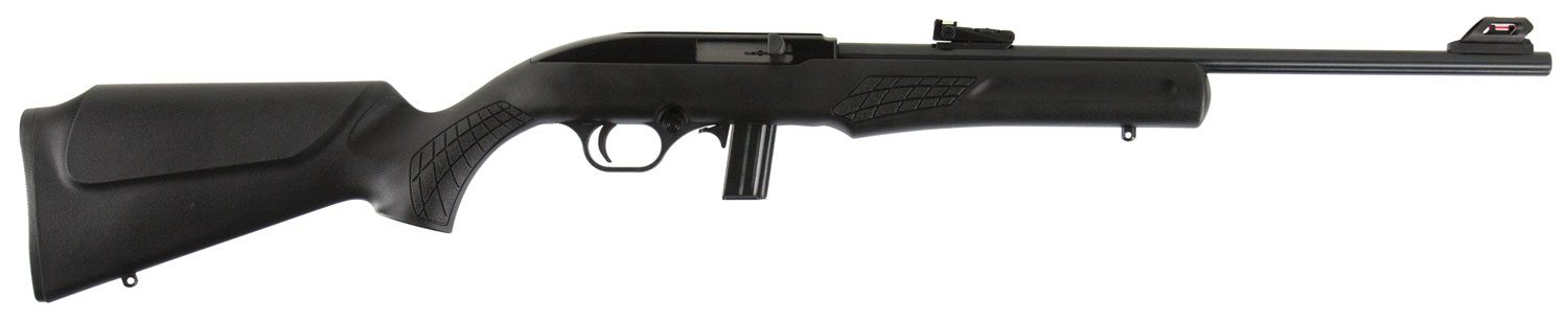 Rossi RS22 Semi-Auto Semi-Auto Rifle Rental | .22 LR | 18in