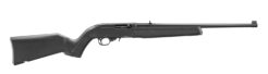 Ruger 10/22 Semi-Auto Rifle Rental | .22 LR | 18.5in