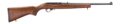 Ruger 10/22 Semi-Auto Rifle Rental | .22 LR | 18.5in | 32015