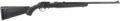 Ruger American Rimfire Bolt-Action Rifle Rental | .17 HMR | 22in