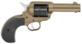 Ruger Wrangler Revolver Rental | .22 LR | 3.75in
