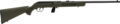Savage 64 F Semi-Auto Rifle Rental | .22 LR | 21in | 40221
