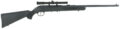 Savage 64 FLXP Semi-Auto Rifle Rental | .22 LR | 21in