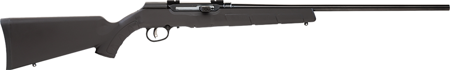 Savage A Series Magnum Semi-Auto Rifle Rental | .17 HM2
