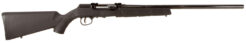 Savage A Series Magnum Semi-Auto Rifle Rental | .17 HMR | 22in