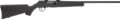 Savage A Series Magnum Semi-Auto Rifle Rental | .17 HMR | 22in | Black