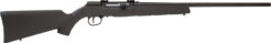 Savage A Series Magnum Semi-Auto Rifle Rental | .17 HMR | 22in | Black
