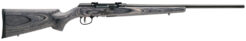 Savage A Series Sporter Semi-Auto Rifle Rental | .17 WSM | 22in