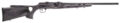 Savage A Series Target Semi-Auto Rifle Rental | .22 LR | 22in