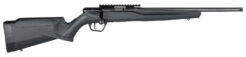 Savage B Series FV-SR Bolt-Action Rifle Rental | .17 HMR | 16.25in