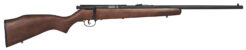 Savage Mark I G Bolt-Action Rifle Rental | .22 Short | 21in