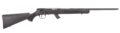 Savage Mark II F Bolt-Action Rifle Rental | .17 HM2 | 21in