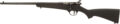 Savage Rascal Bolt-Action Rifle Rental | .22 LR | 16.13in