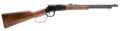 Savage Revel Classic Lever-Action Rifle Rental | .22 LR | 18in
